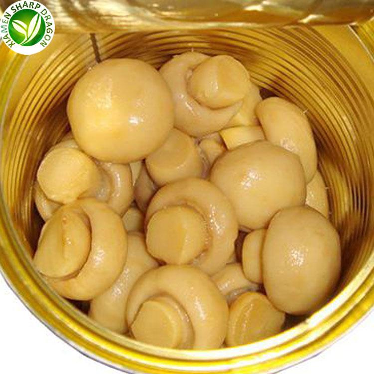 canned mushroom champignon bulk supply for import buyers