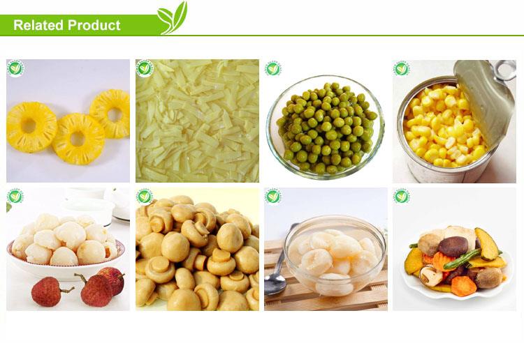 related canned food products for mixed container buyers