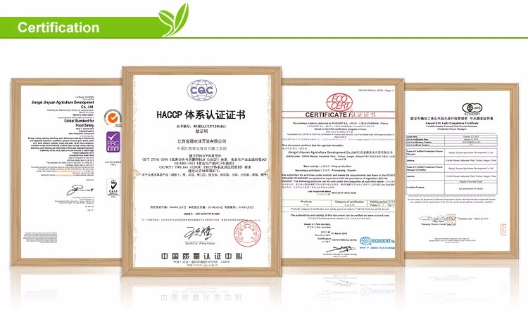 XMSD certification support for vacuum fried banana chips XMSD certification support for vacuum fried banana chips