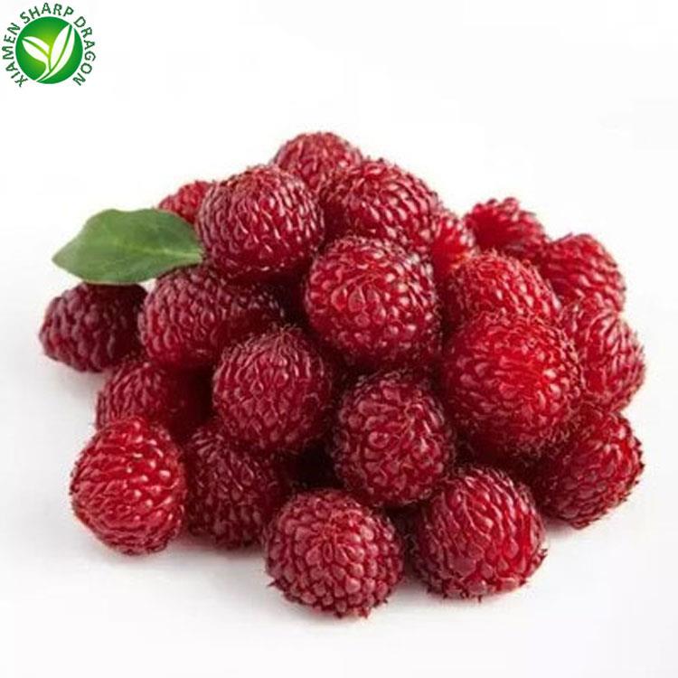 Red raspberries on a white background Red raspberries arranged on a white background