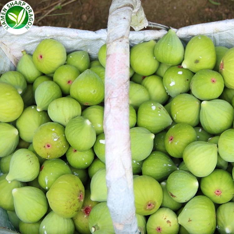frozen figs for sale
