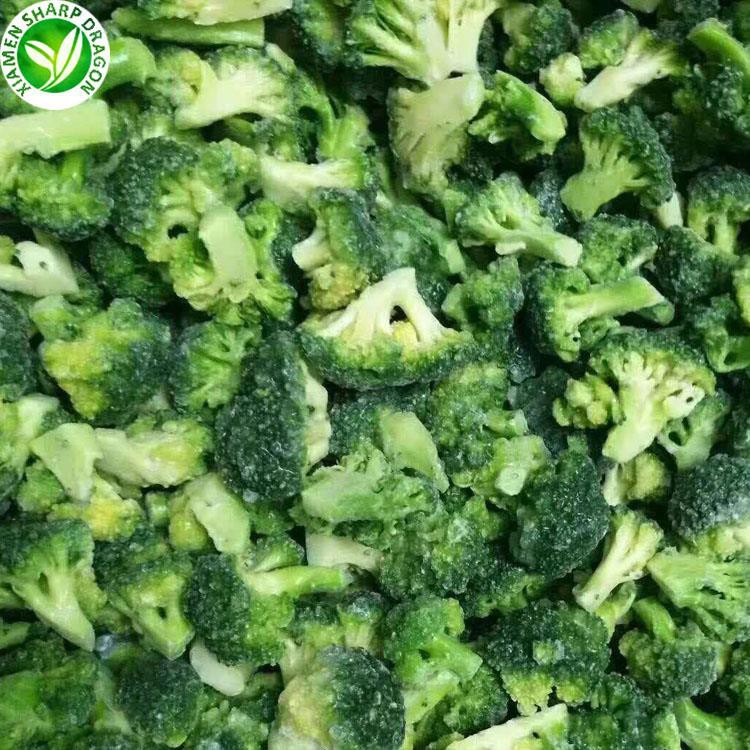 frozen broccoli suppliers