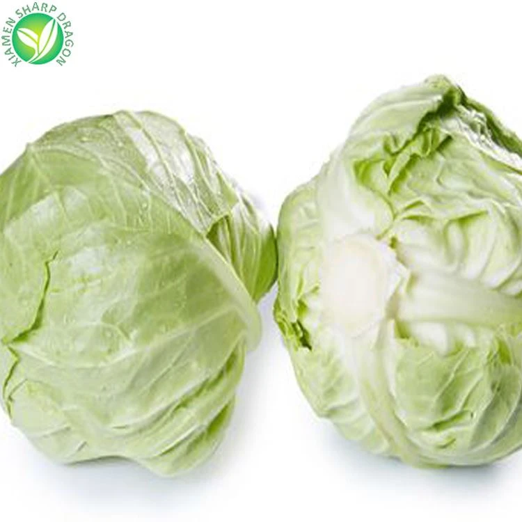 frozen cabbage