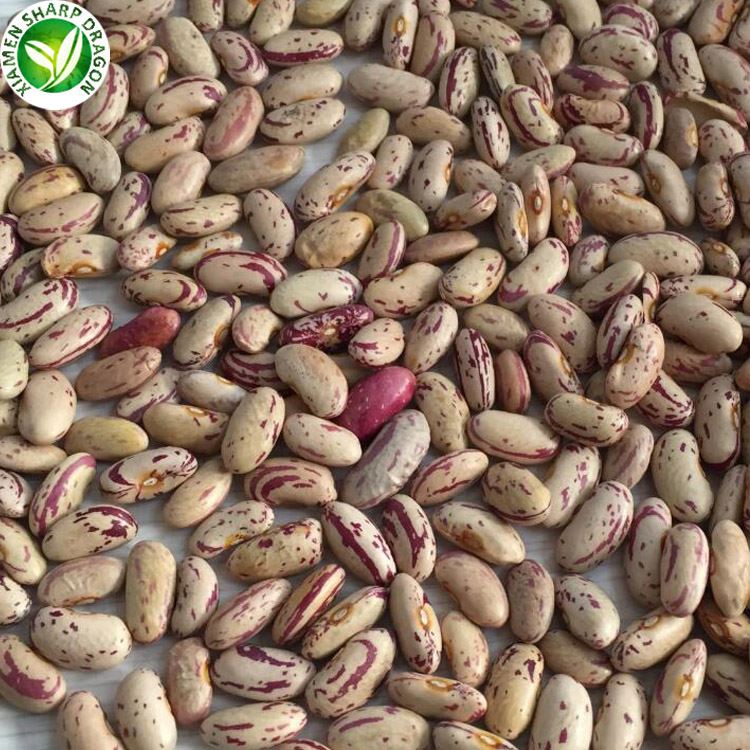 white Kidney Beans