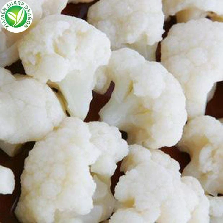 IQF white cauliflower for B2B frozen vegetable buyers