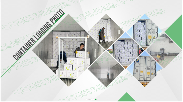 product-645-360
