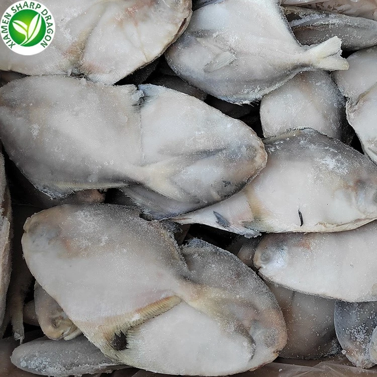 Pomfret appearance and species documentation Whole silver-colored fish from the original pomfret article