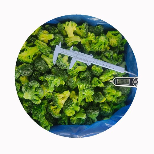 can you freeze raw broccoli without blanching can you freeze raw broccoli without blanching