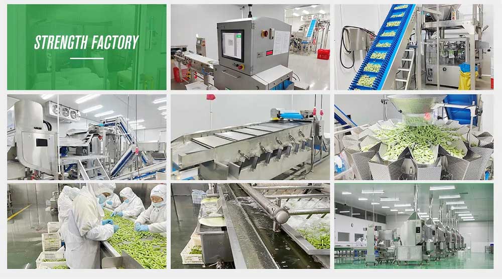 frozen broccoli factory frozen broccoli factory