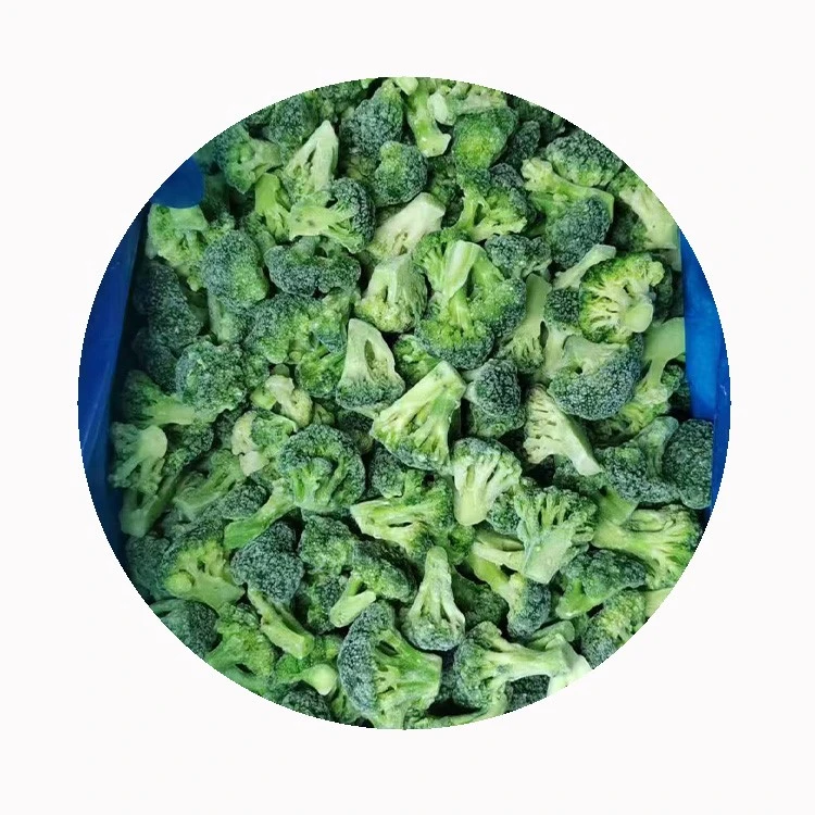Organic frozen broccoli supplier China Organic frozen broccoli supplier China