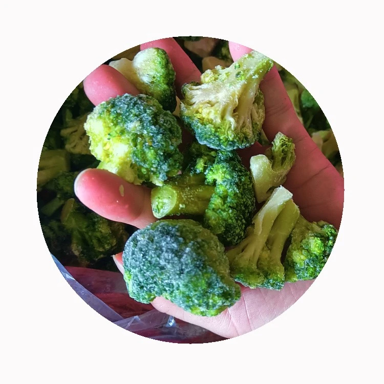 IQF broccoli for food processing IQF broccoli for food processing