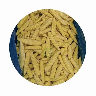 IQF Iffriżat Baby Corn Cobs