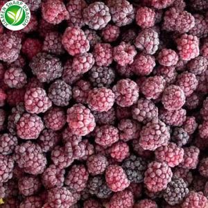 Frott tat-tut għall-bejgħ