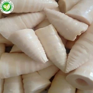 Rimja tal-bambu fil-laned fl-ilma