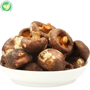 Faqqiegħ Shiitake Iqarmeċ Qawwi