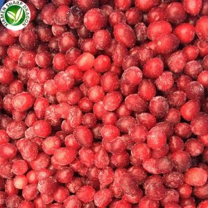 Cranberries Frozen Bulk