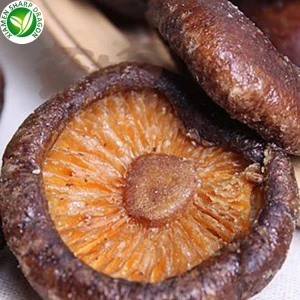 Snack tal-Faqqiegħ Shiitake