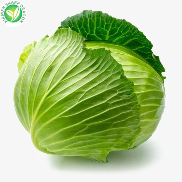 Kaboċċa Ċiniża Għall-Bejgħ