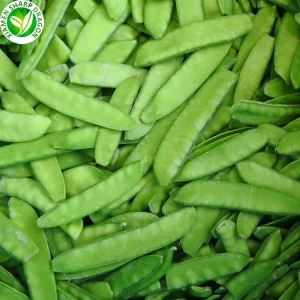 Iffriżar Piżelli tas-Silġ
