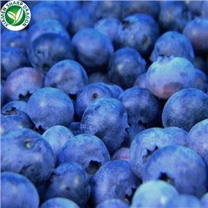 Il-Blueberry l-Aktar Popolari