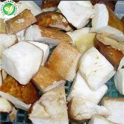 Faqqiegħ Magic Porcini