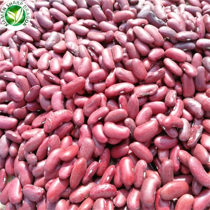 New Crop New Kidney Beans